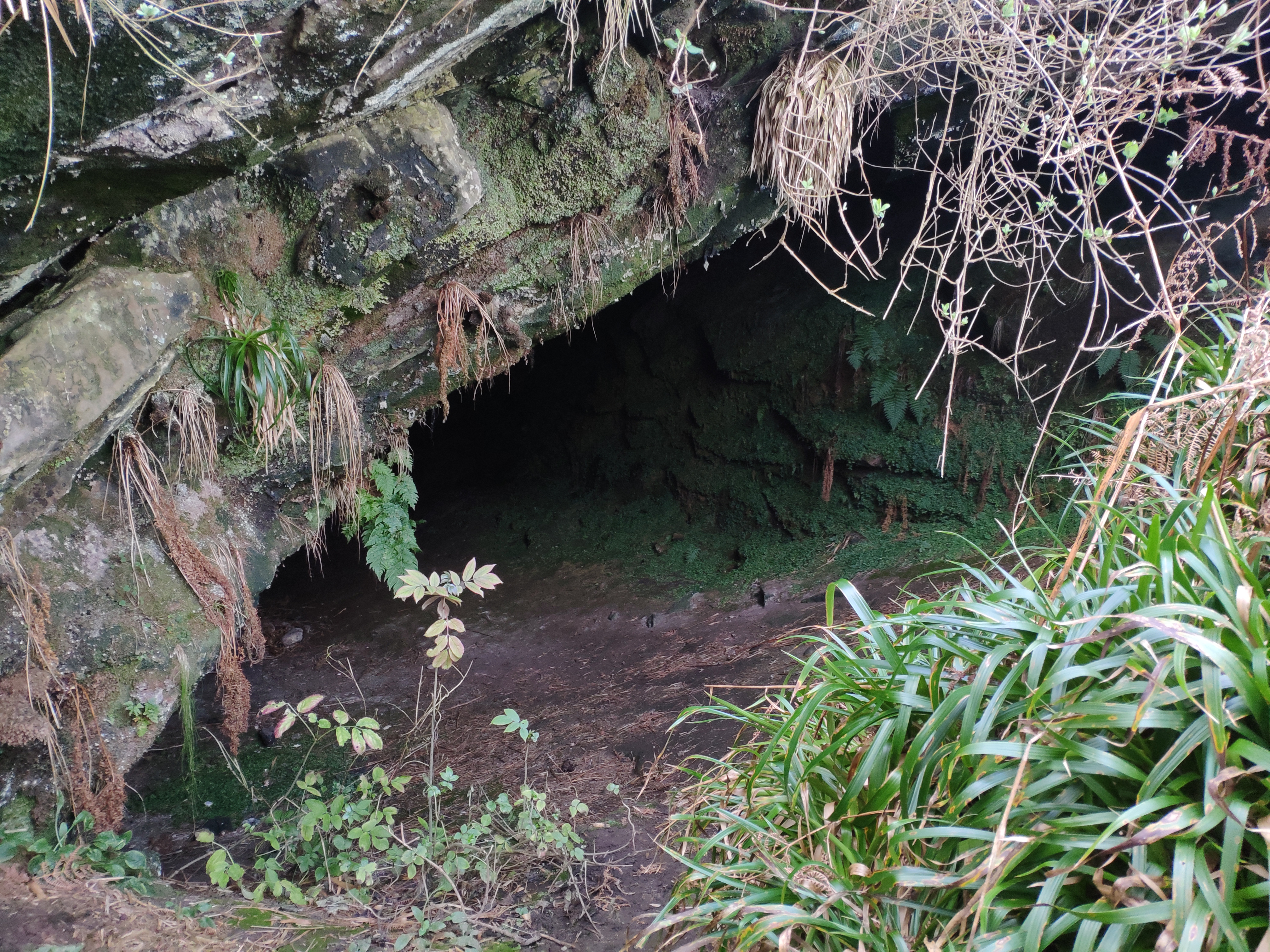 Entrance to Kinkell Cave