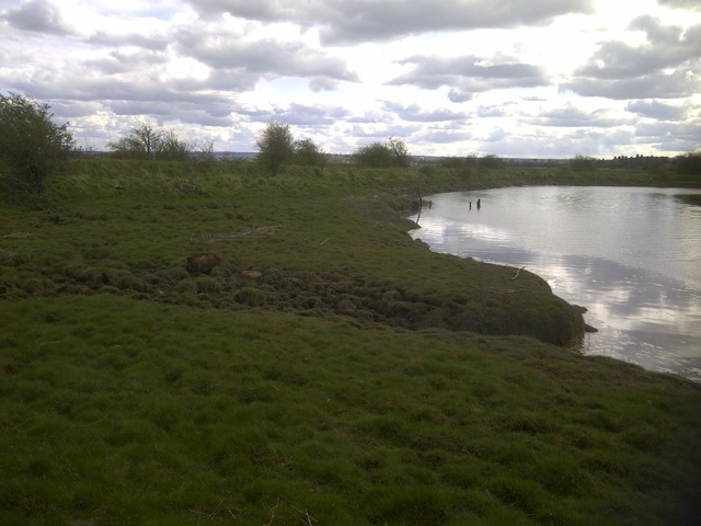 Viewing Inlet The SCAPE Trust