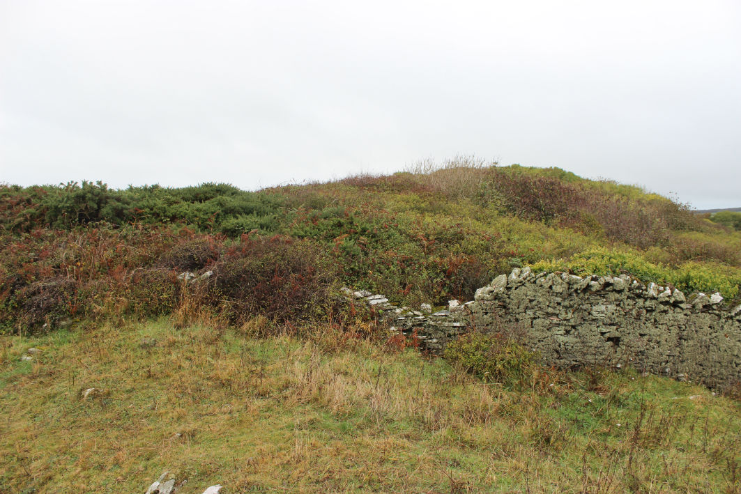 Promontry Fort The SCAPE Trust