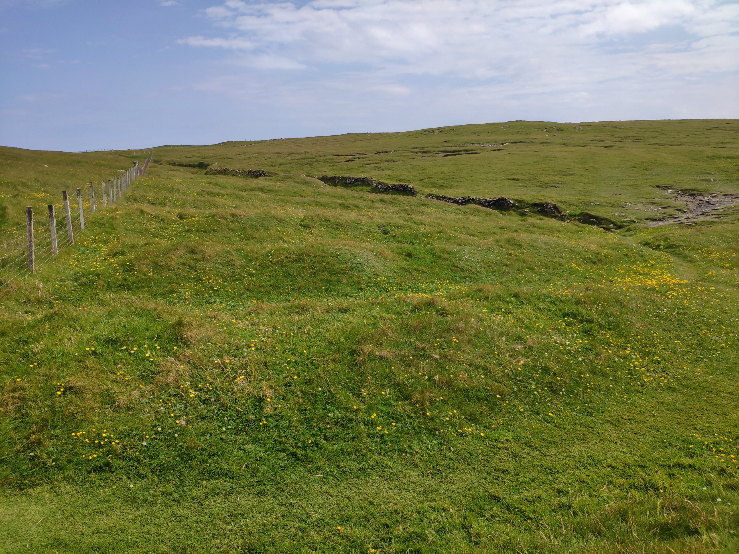 Complex C: General view, prominent mound adjacent to stream  in background, feannagan in foregound, looking east