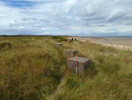 Anti-tank blocks in dunes at edge of golf course, looking west, central on West beach.