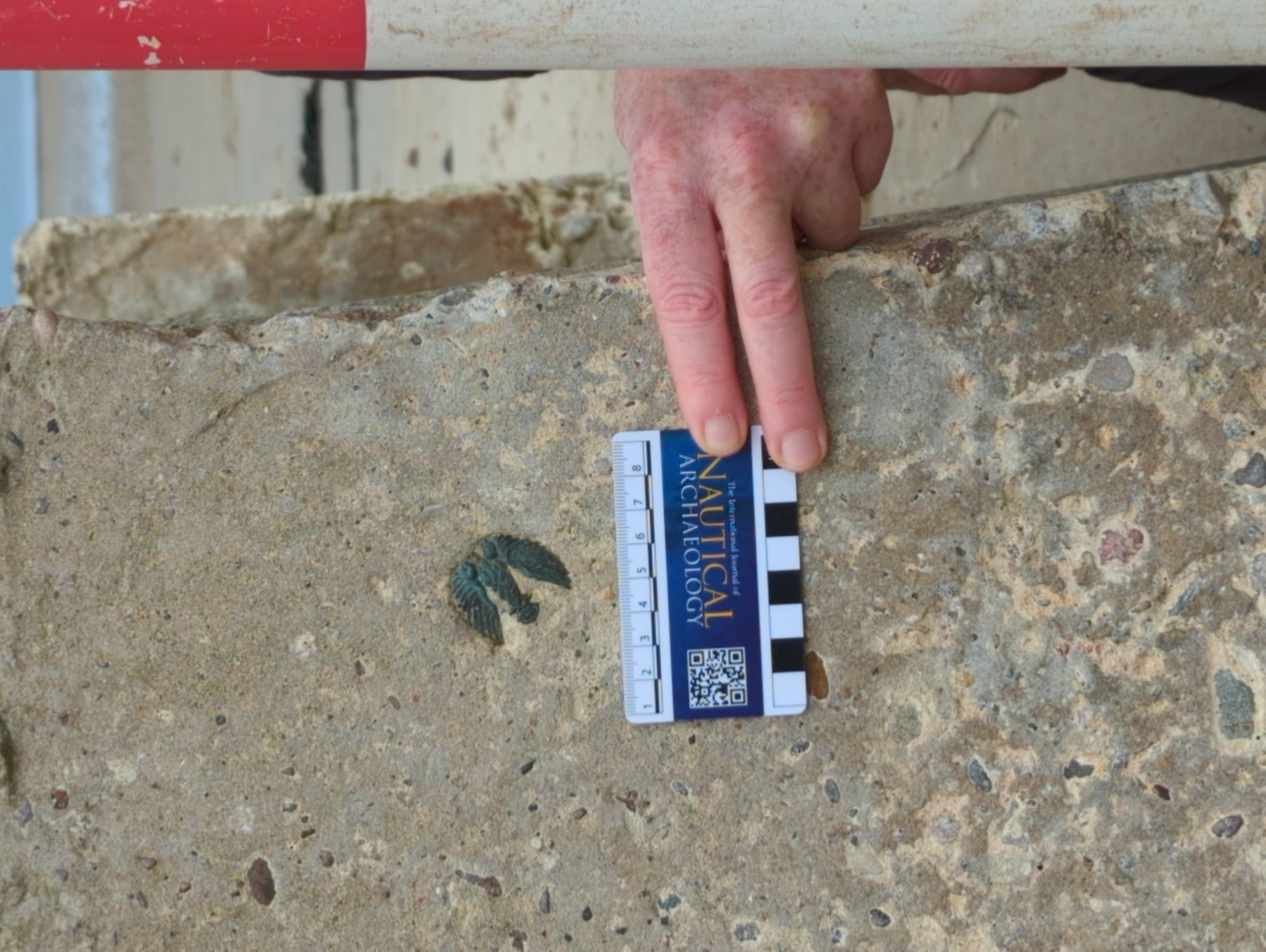 Copper alloy badge, possibly Polish 