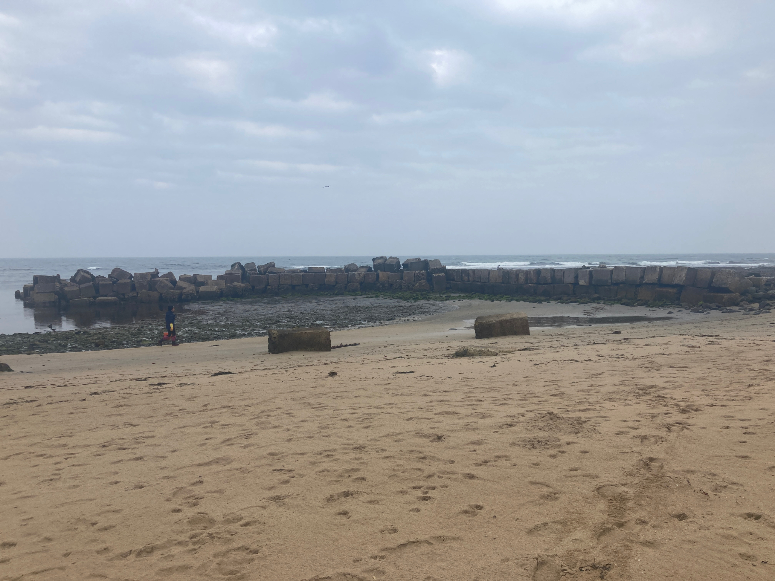 South eastern side of harbour 