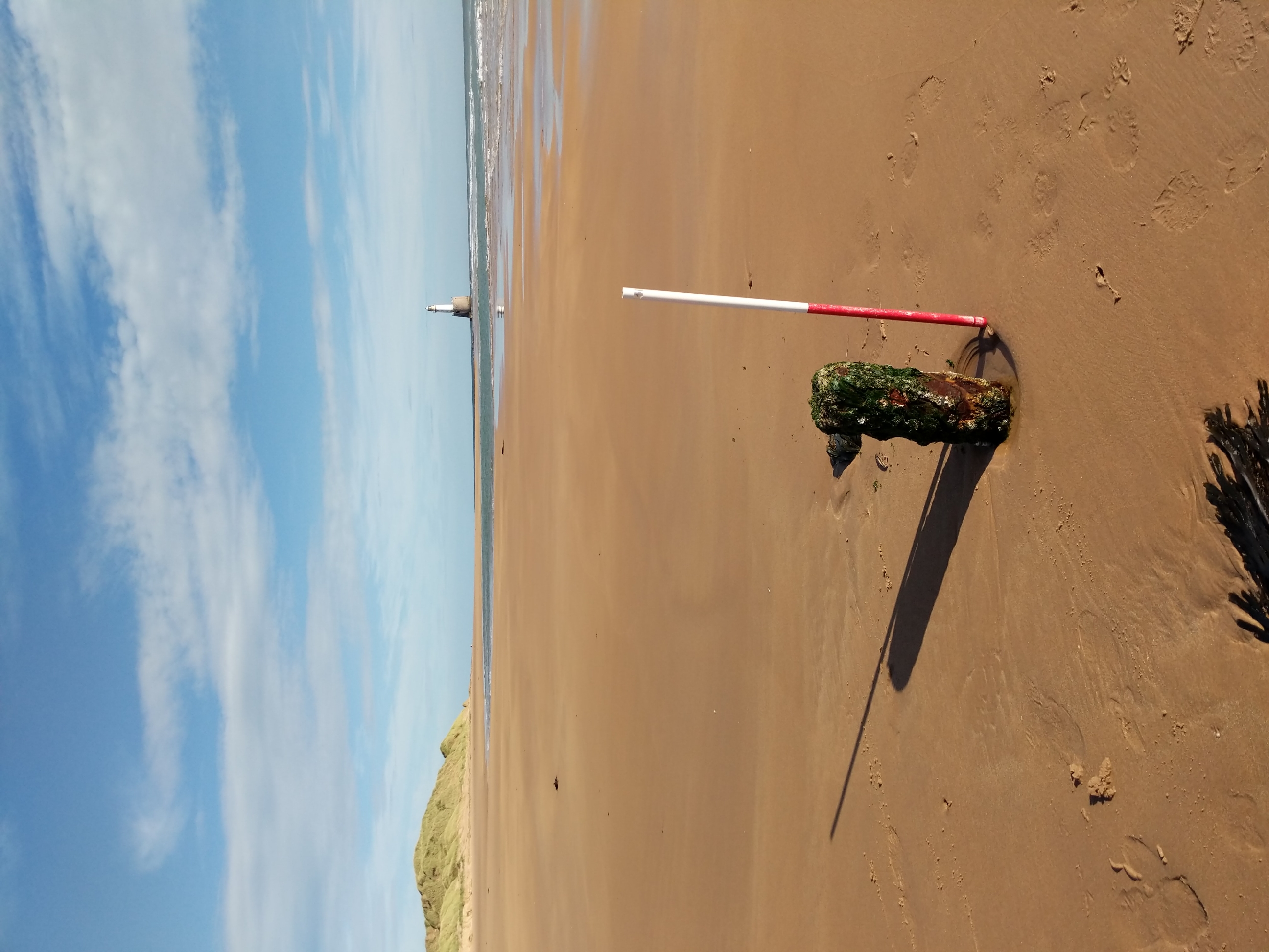 Looking north towards Rattray Head lighthouse