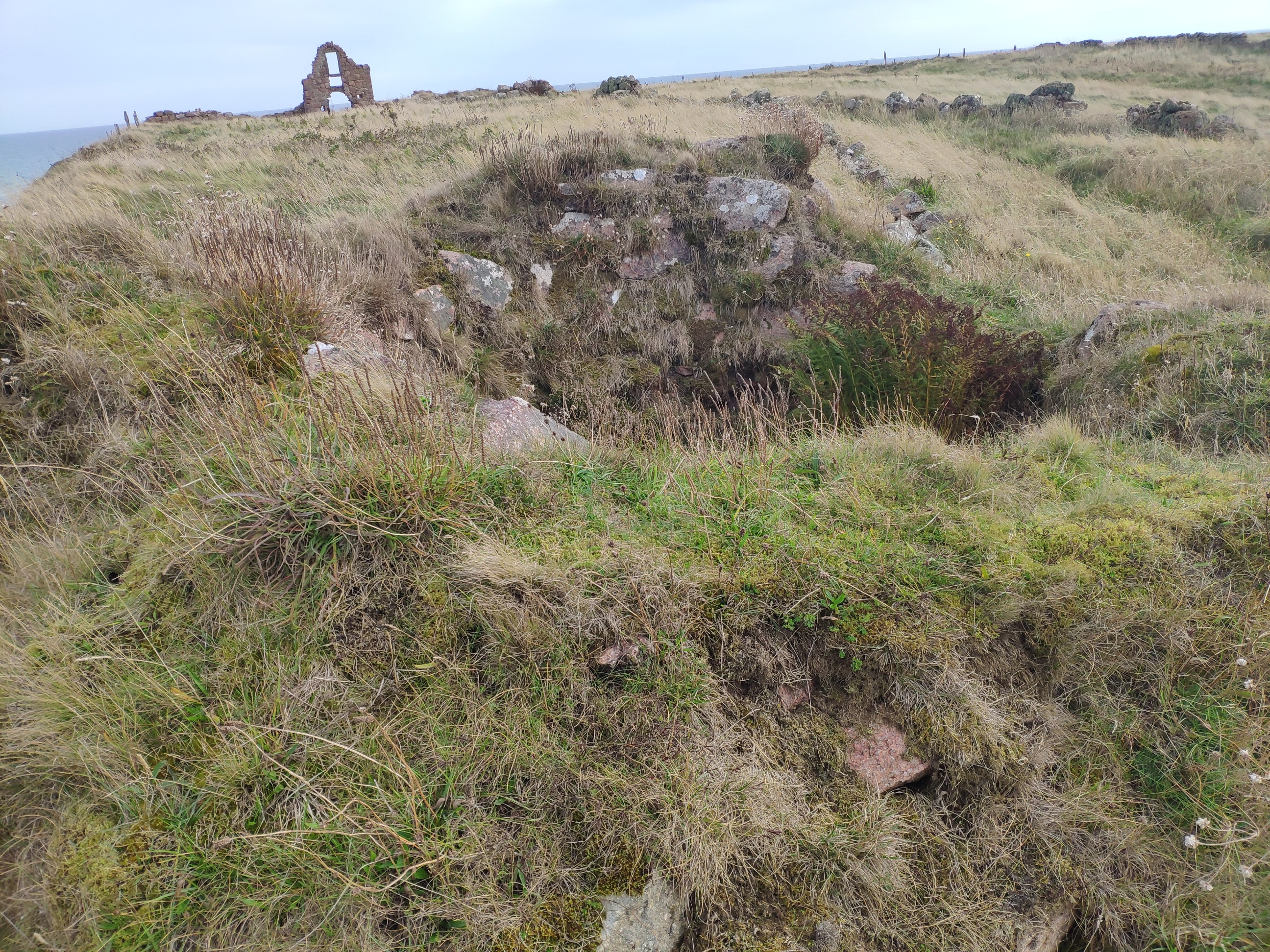 Bowl-like structure, looking east