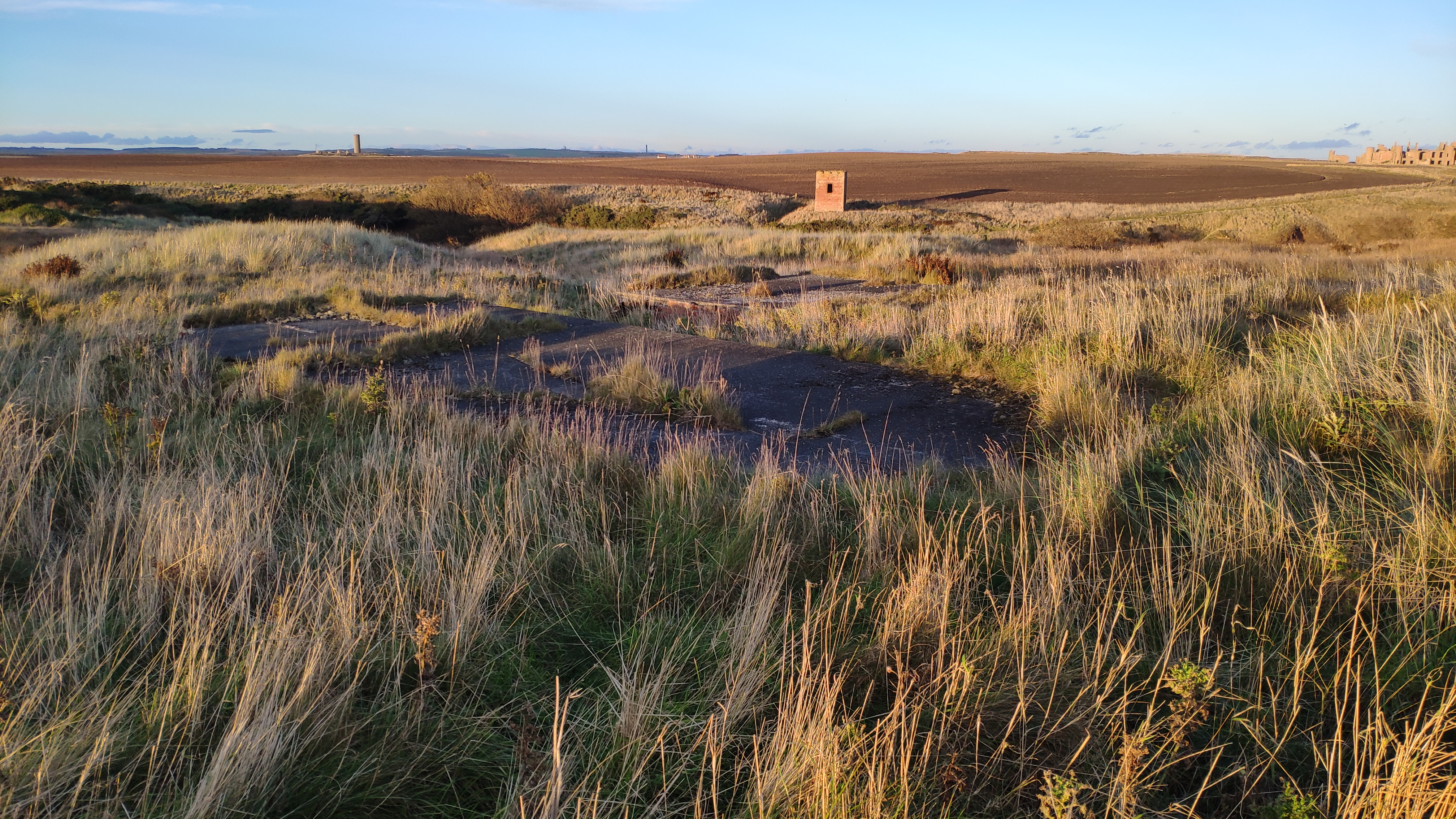 Remains of hut bases