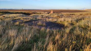 Remains of hut bases