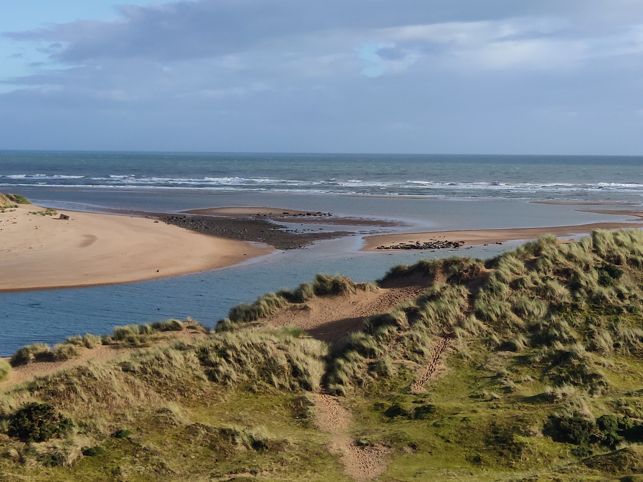 Pill box and anti tank cubes photographed from the Newburgh side of the Ythan estuary.