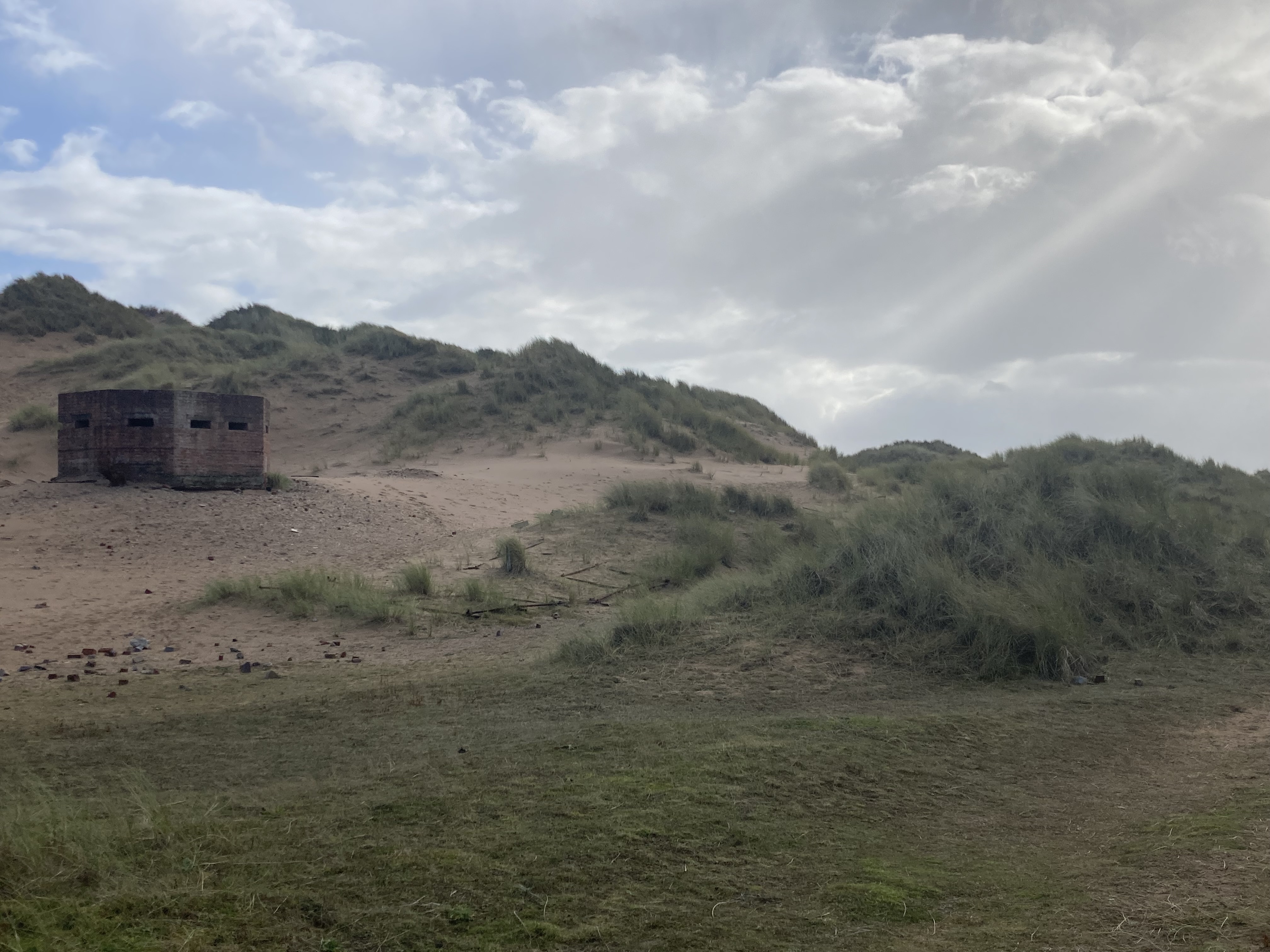 Remains of scaffolding within vegetated dunes