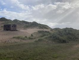 Remains of scaffolding within vegetated dunes