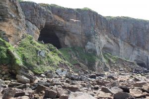 Covesea Cave 2 (Deer Cave) is the cave on the right with the talus mound extending in front. Fresh collapse is evident in the freshly broken cliff face around the entrance/