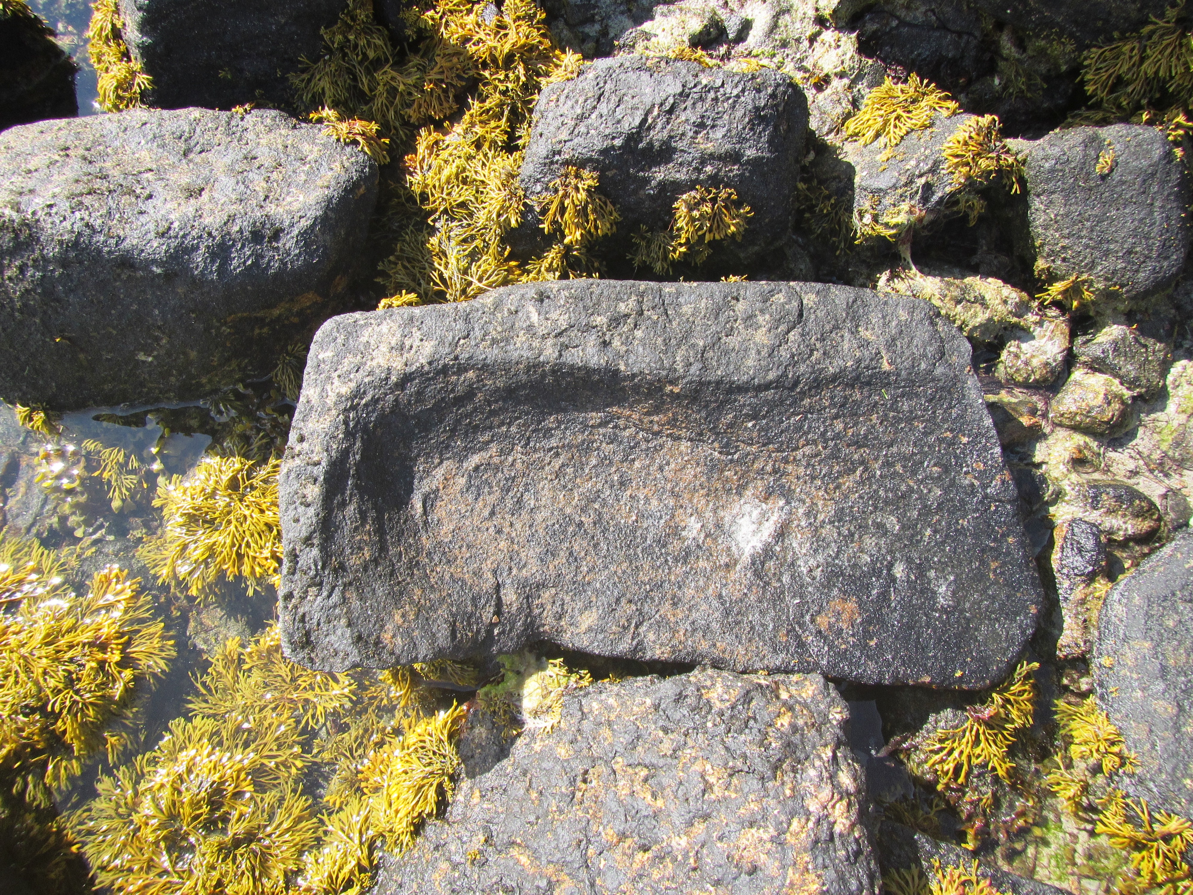 Close-up of the Saddle Quern