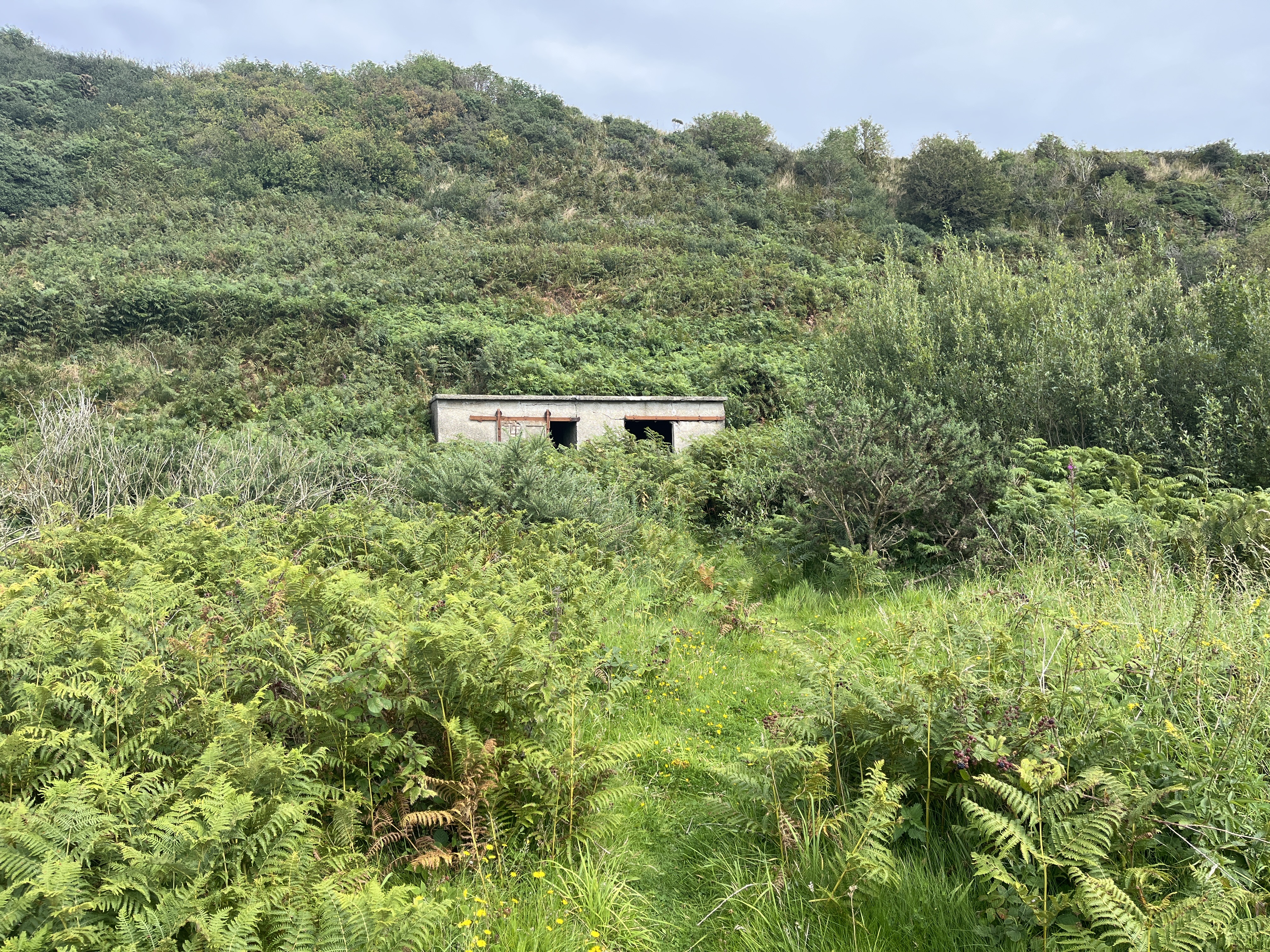 Concrete shed, set against vegetated raised shoreline, approximately 70m from coast edge. Location 7 on site map.