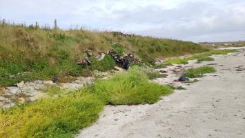 Coast edge - heavily vegetated and modern dumping
