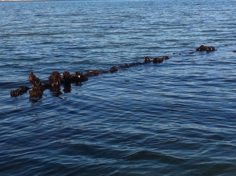Visible wreckage of possible Sunderland flying boat.