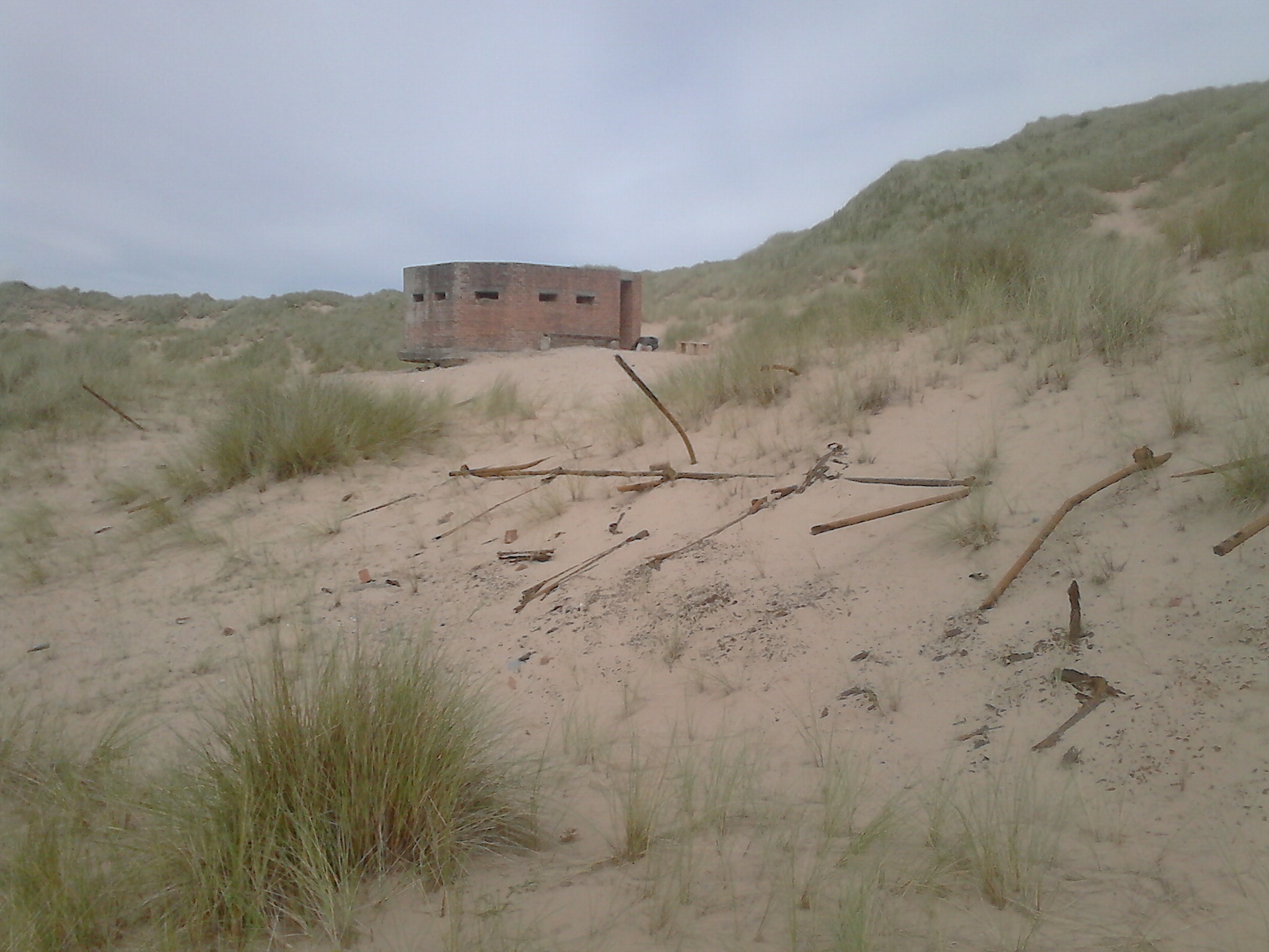 July 2024. A similar view of scaffolding poles in foreground. Connectors appear buried. Photo Richard Woods.