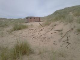 July 2024. A similar view of scaffolding poles in foreground. Connectors appear buried. Photo Richard Woods.